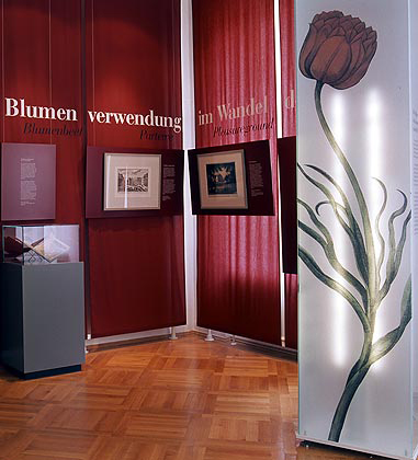 Bild: Raum 11
