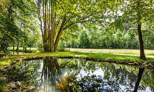 Picture: Pond in the palace park