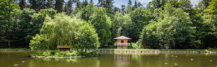 Bild: Thalmühlweiher im Schlosspark